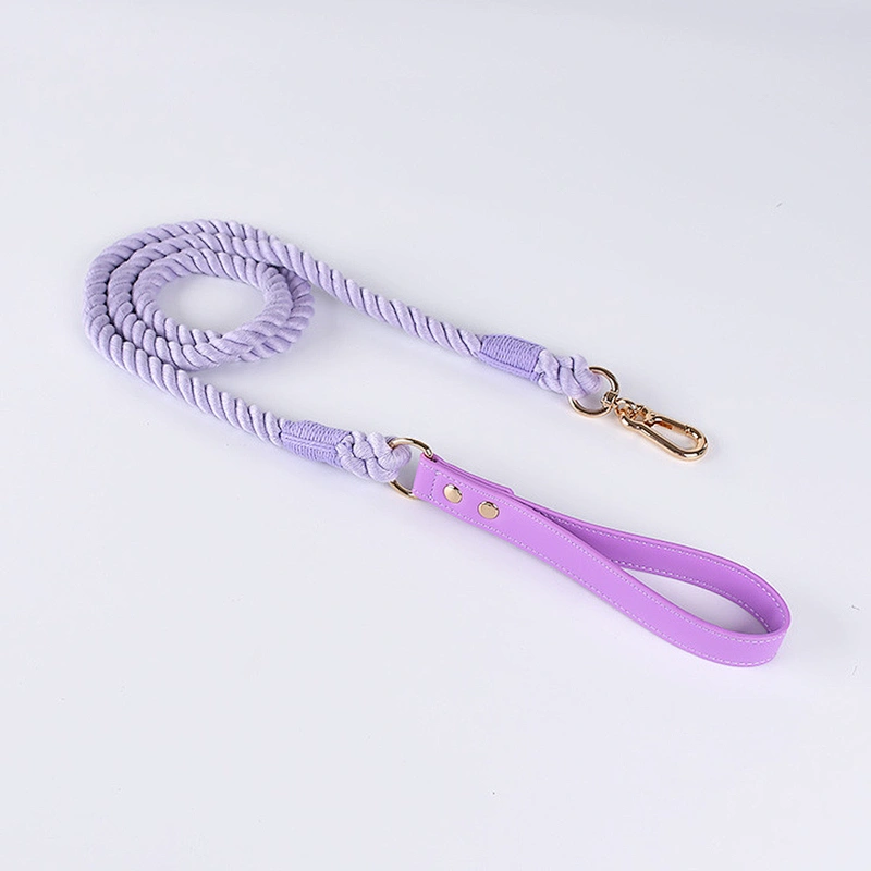 Wholesale Luxury Fashion Colorful Woven Braided Rainbow Cotton Cute Gradient and Collar Rope Set Pet Dog Leash