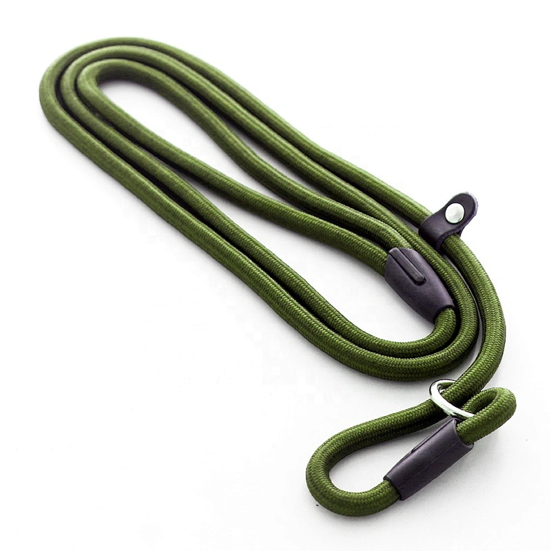 Wholesale Custom Medium Large Perros Mascotas Big Training PP Nylon Sturdy Durable Solid Slip on Show Dog Lead Rope Leash