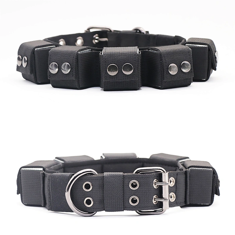 Training Heavy Duty Large Big Weight Ingots Muscle Exercise Nylon High Density Polyester Webbing Eyelet Pet Dog Collar