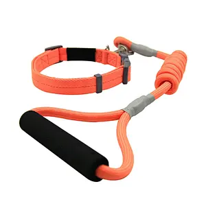 Wholesale Hot Style Dog Walking Rope with Swivel Lockable Hook Pet Supplies Multi-Colors Dog Leads Collars with Padded Handle