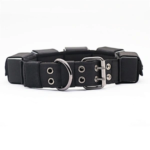 Training Heavy Duty Large Big Weight Ingots Muscle Exercise Nylon High Density Polyester Webbing Eyelet Pet Dog Collar