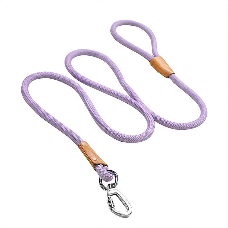 Reflective Foam Handle Metal Buckle Custom Logo Slip on Adjustable Nylon Walking 1.5m Long Pet Cat Dog Lead Rope Leash