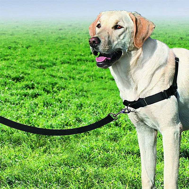 Custom Luxury Braid Big Large Rope Woven Two Hook Run Walk Training PP Nylon Hands Free Handsfree Shoulder Pet Cat Dog Leash
