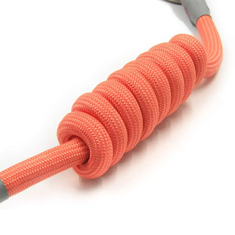 Wholesale Hot Style Dog Walking Rope with Swivel Lockable Hook Pet Supplies Multi-Colors Dog Leads Collars with Padded Handle