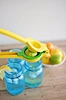best home citrus juicer