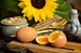 spiral egg cup
