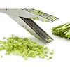 Herb Scissors