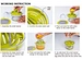 citrus juicer press manual