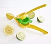 best home citrus juicer