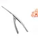 lobster peeler
