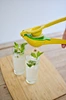 best home citrus juicer