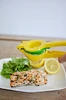 best home citrus juicer