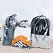 Clear Plastic Drawstring Bag