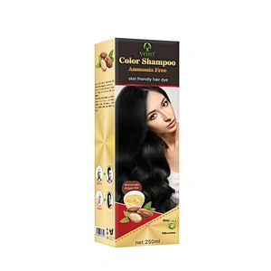 Black Magic Comb One Step Hair Dye Color Comb with Foams 2 in 1 Hair Color shampoo dye your hair in 5 minutes