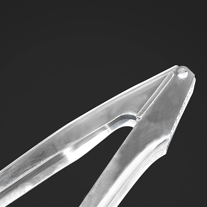 OEM Wholesale Kitchen accessories Garlic Press  Stainless Steel garlic Crusher chopper ginger mincer