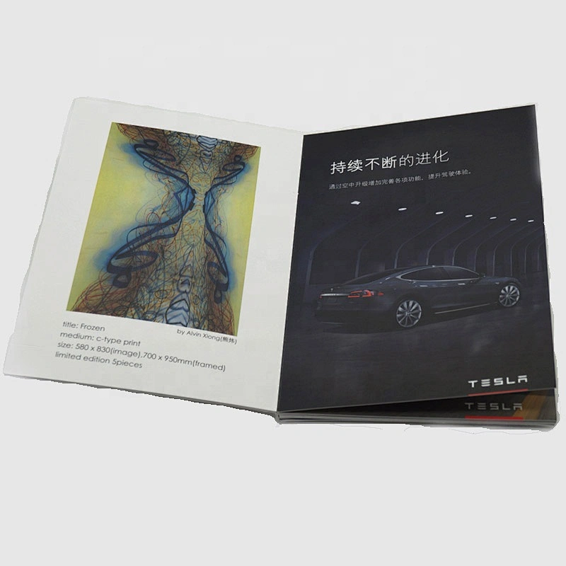 Custom Attractively Designed Full Color Brochure Printing A4 Size Booklet Made In China