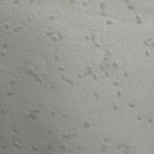 ECO-Friendly Biodegradable Plantable Seed Paper Hang Tag