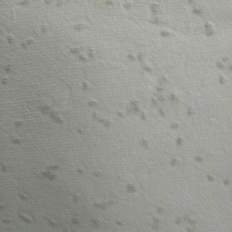 ECO-Friendly Biodegradable Plantable Seed Paper Hang Tag