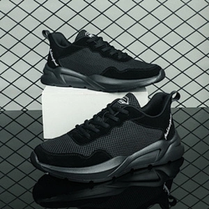 Men Sport Running Sneakers Male Casual Walking shoes