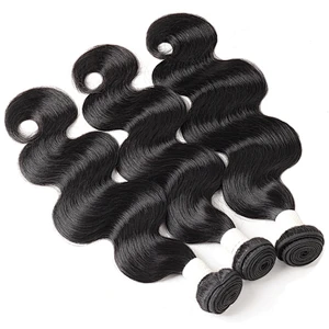 LZ wholesale bundle virgin brazilian hair vendors,raw brazilian virgin cuticle aligned hair, mink brazilian virgin hair bundles