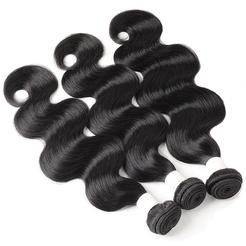 LZ wholesale bundle virgin brazilian hair vendors,raw brazilian virgin cuticle aligned hair, mink brazilian virgin hair bundles