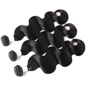 LZ wholesale bundle virgin brazilian hair vendors,raw brazilian virgin cuticle aligned hair, mink brazilian virgin hair bundles