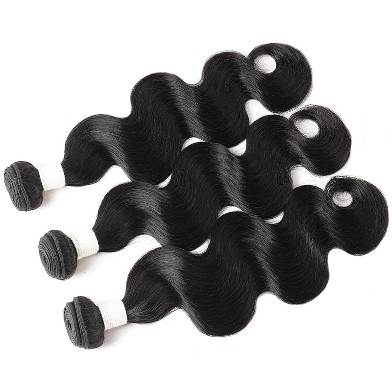 LZ wholesale bundle virgin brazilian hair vendors,raw brazilian virgin cuticle aligned hair, mink brazilian virgin hair bundles