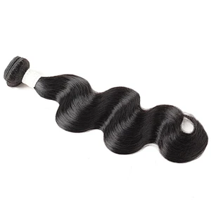 LZ wholesale bundle virgin brazilian hair vendors,raw brazilian virgin cuticle aligned hair, mink brazilian virgin hair bundles