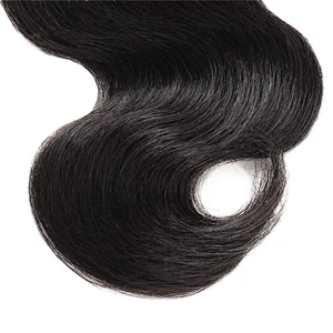 LZ wholesale bundle virgin brazilian hair vendors,raw brazilian virgin cuticle aligned hair, mink brazilian virgin hair bundles