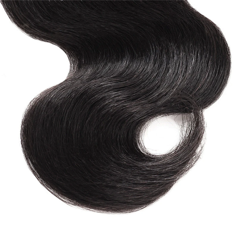 LZ wholesale bundle virgin brazilian hair vendors,raw brazilian virgin cuticle aligned hair, mink brazilian virgin hair bundles