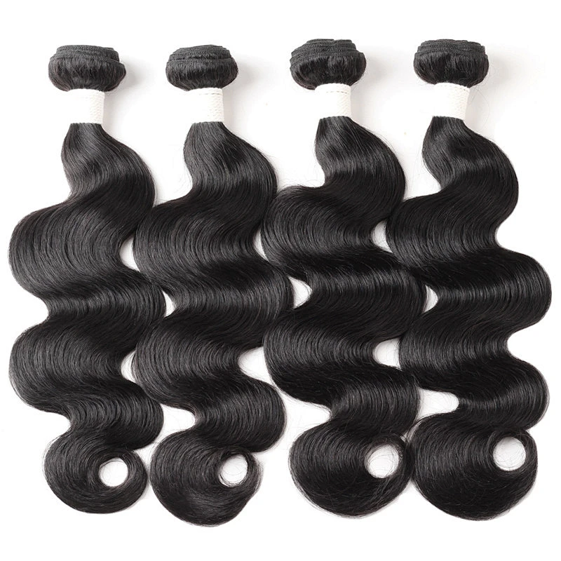 LZ wholesale bundle virgin brazilian hair vendors,raw brazilian virgin cuticle aligned hair, mink brazilian virgin hair bundles