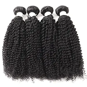 LZ wholesale mink brazilian hair bundles,raw virgin brazilian cuticle aligned hair, virgin mink brazilian hair