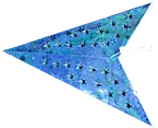 hanging paper star lantern