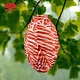 HKH Garden Street Fabric Nylon Metal Wire Printing Oval Solar Lantern
