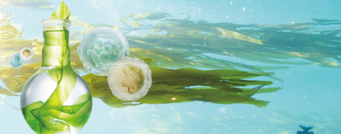 Seaweed fiber is a marine plant fiber. It is marine biological new materials.