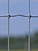 Square deal knot field fence