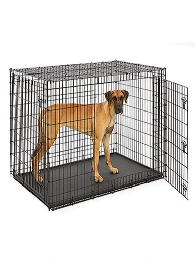  piège à animaux