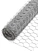 Hexagon Chicken Wire Manufacturer