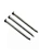 Common Nails
