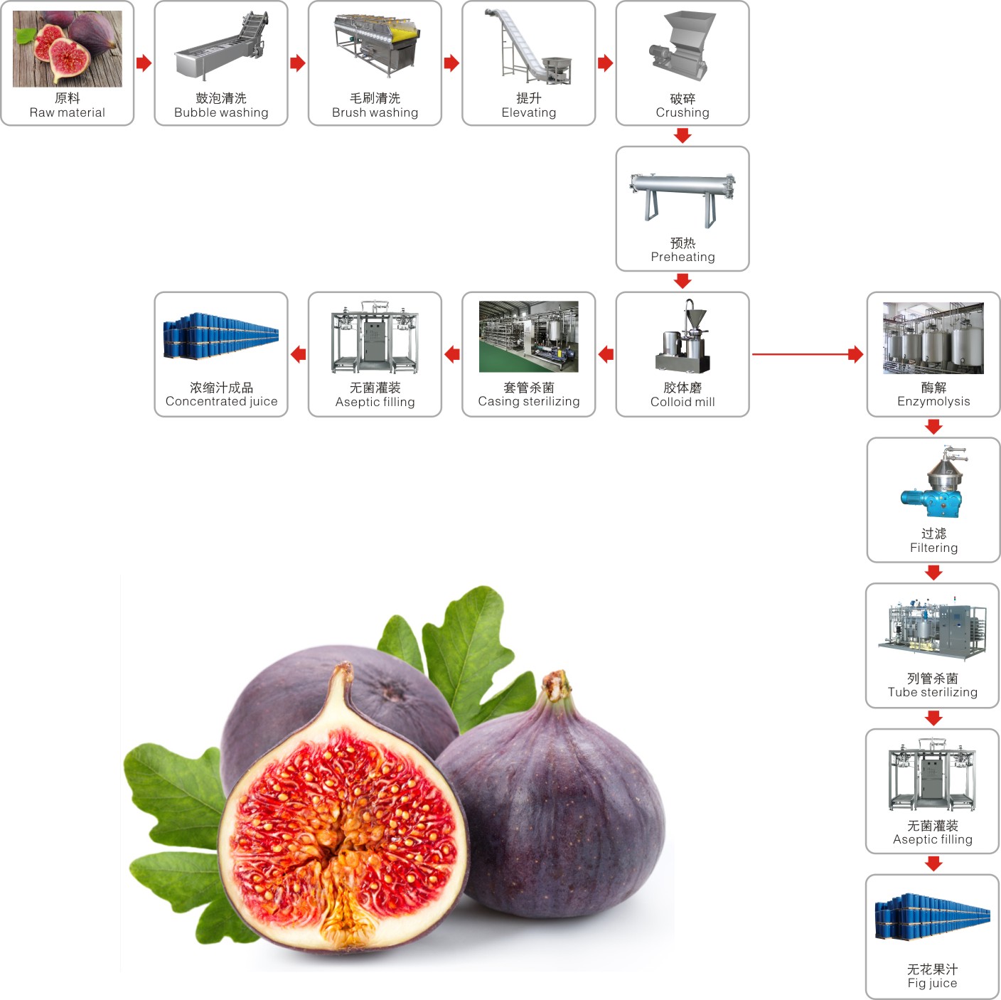 Fig processing complete production line turnkey project