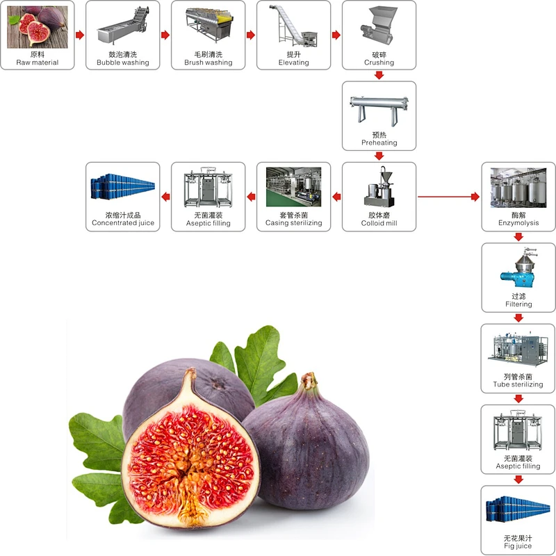 Fig processing complete production line turnkey project