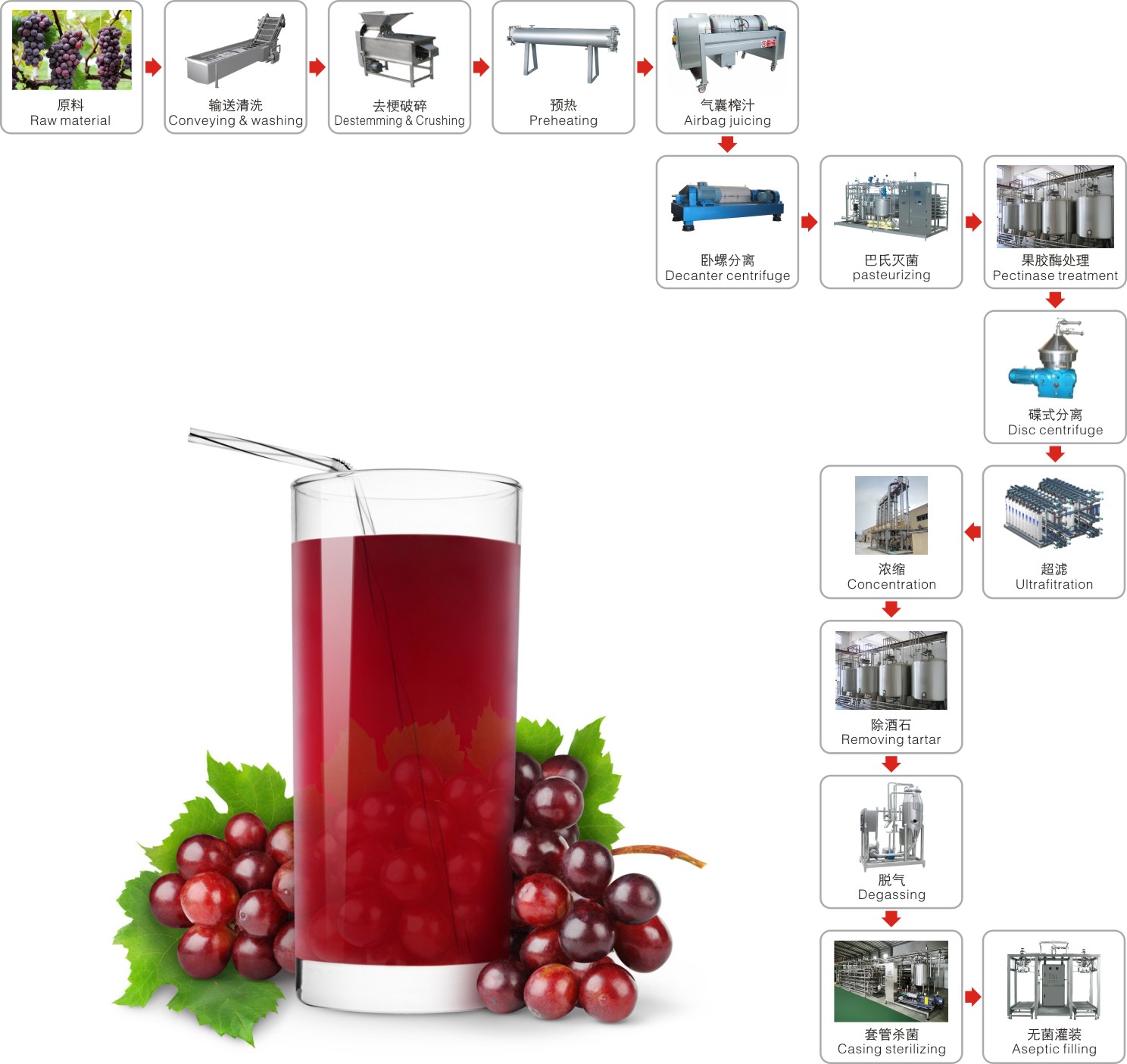 Grape processing production line