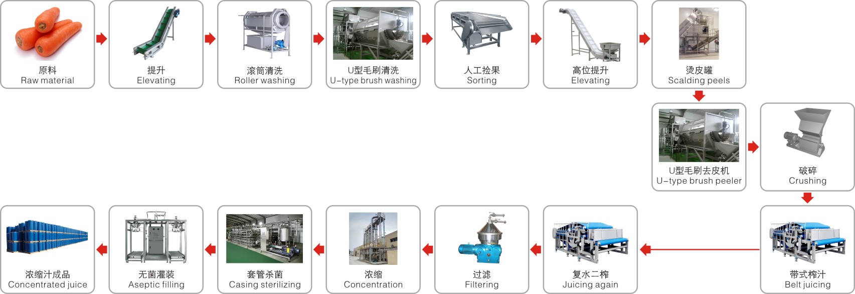 Carrot processing complete production line turnkey project