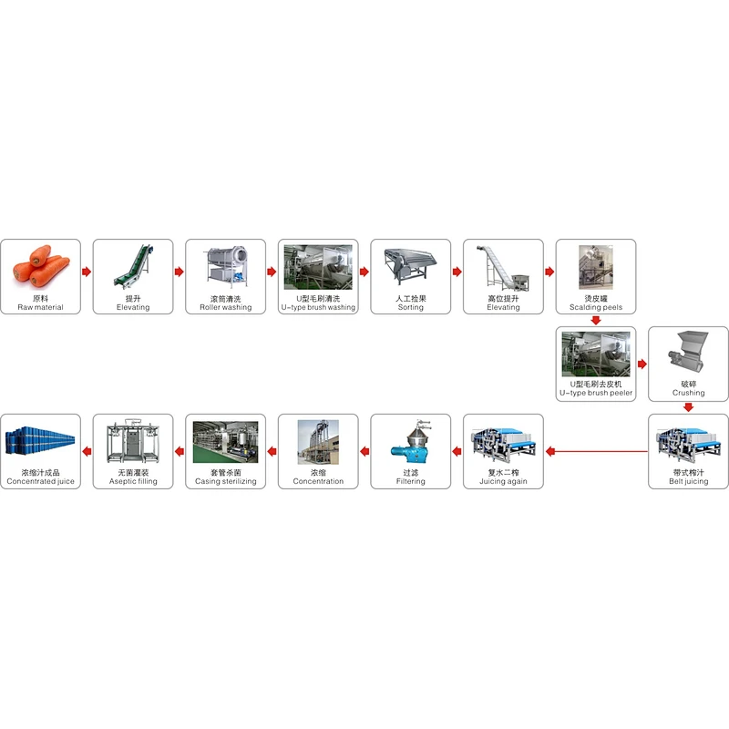 Carrot processing complete production line turnkey project