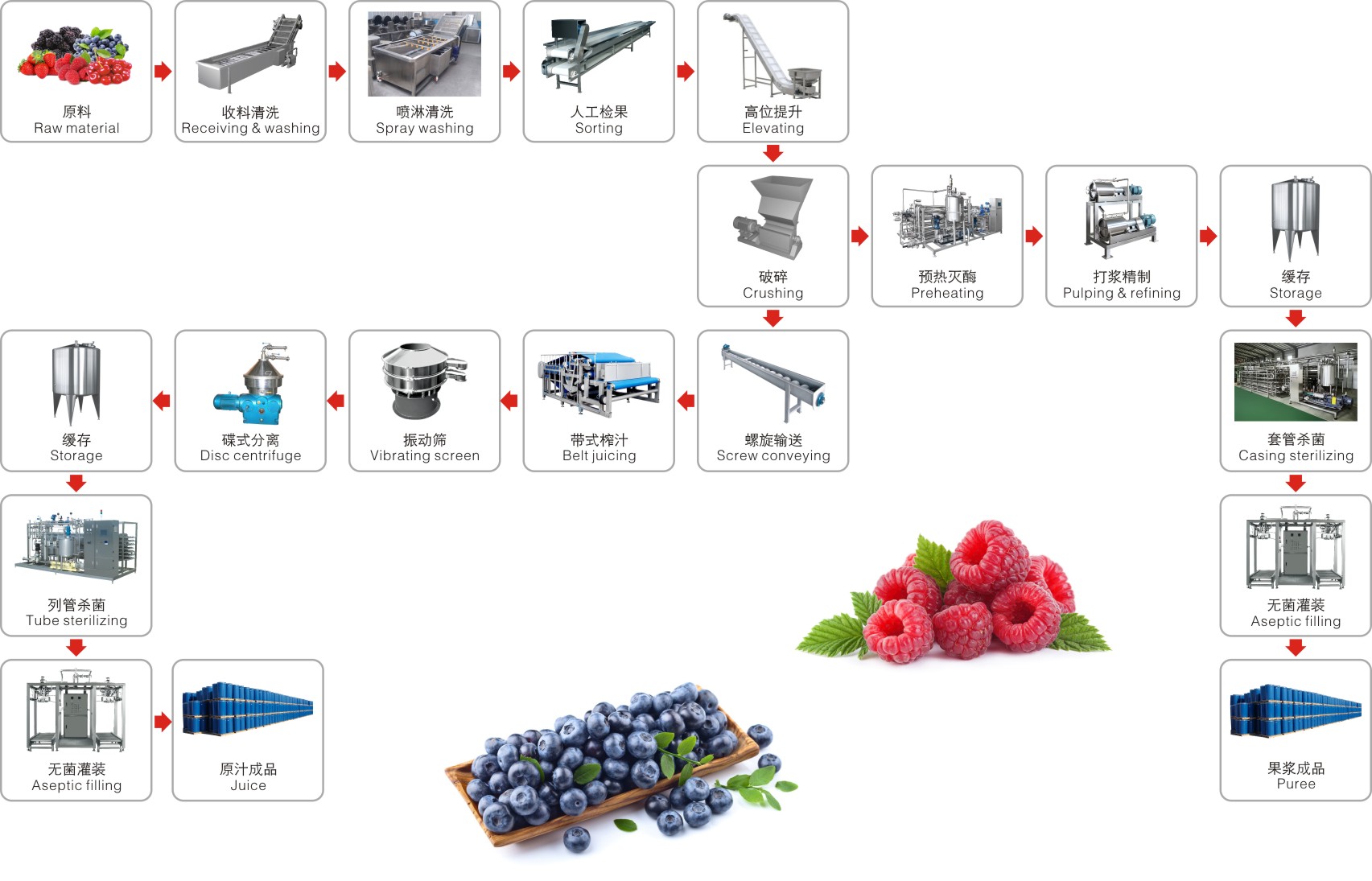 Blueberry,strawberry,raspberry,blackberry,mulberry processing complete production line turnkey project