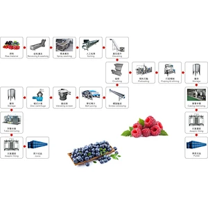Blueberry,strawberry,raspberry,blackberry,mulberry processing complete production line turnkey project