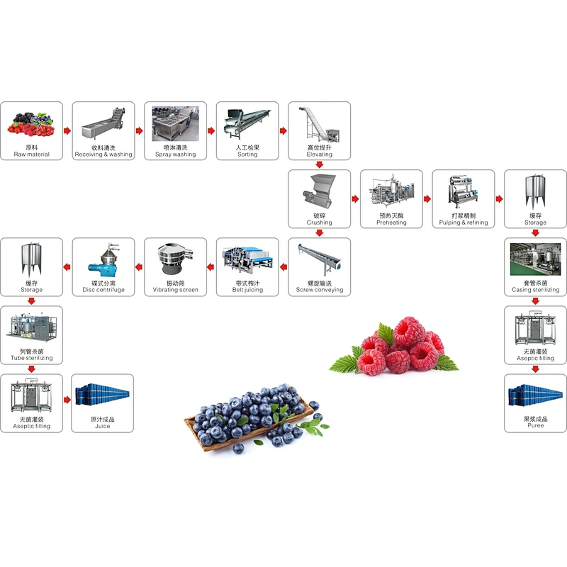 Blueberry,strawberry,raspberry,blackberry,mulberry processing complete production line turnkey project
