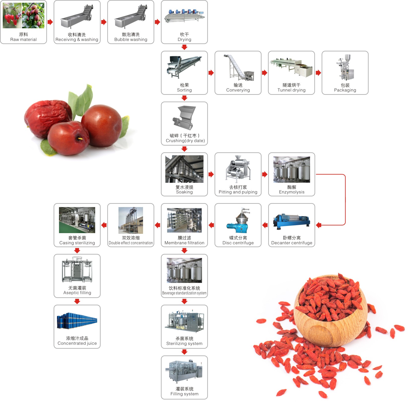 Red dates,medlar processing complete production line turnkey project