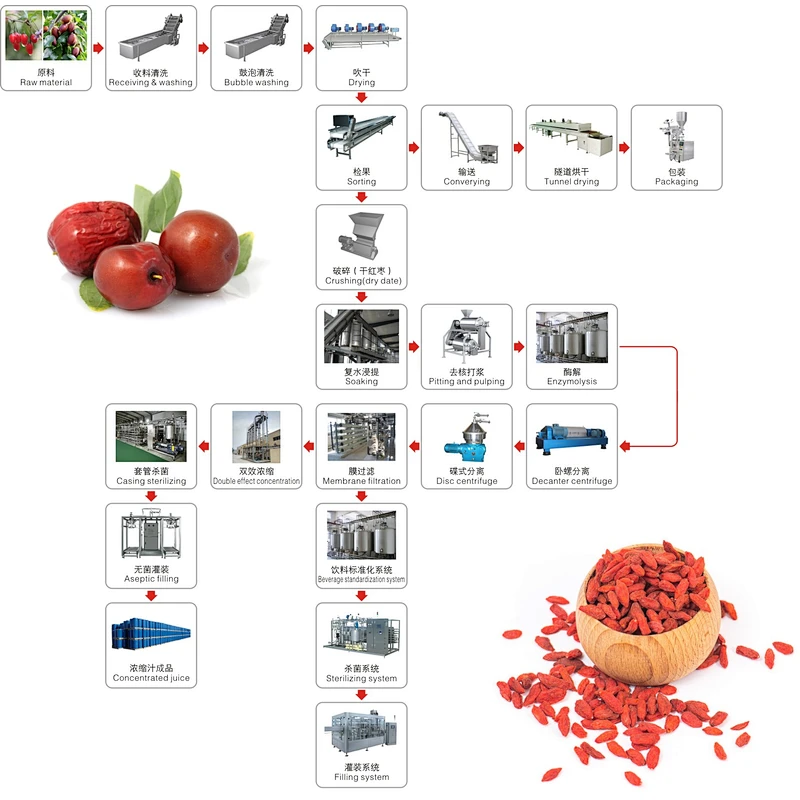 Red dates,medlar processing complete production line turnkey project