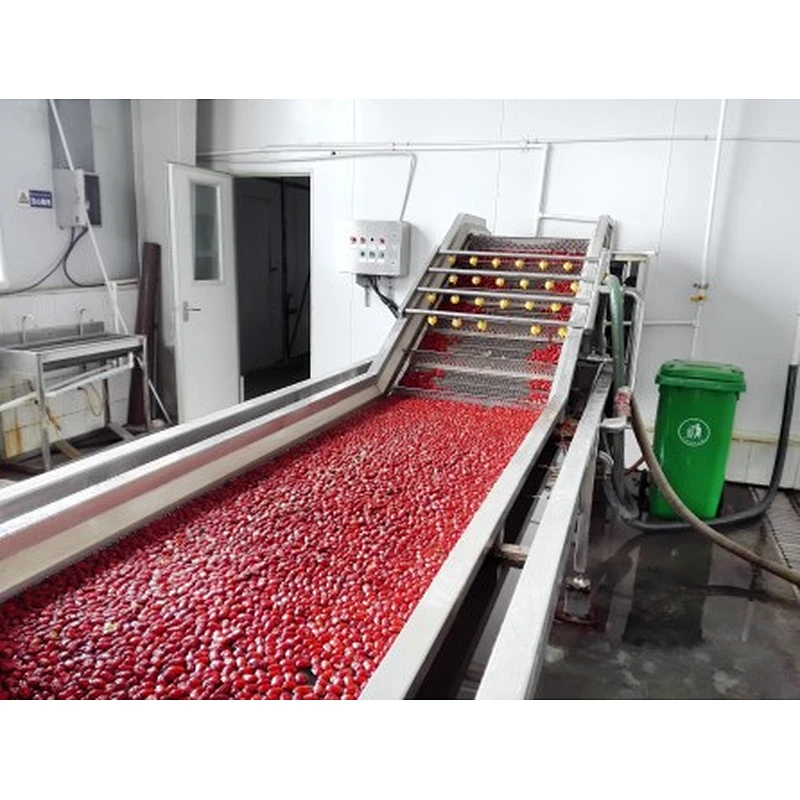 Red dates,medlar processing complete production line turnkey project